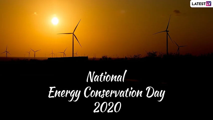 National Energy Conservation Day 2020 Quotes: Inspirational Sayings & to Increase the Awareness on Energy Conservation HD wallpaper