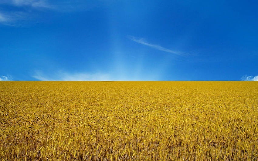 ウクライナの国旗 高画質の壁紙