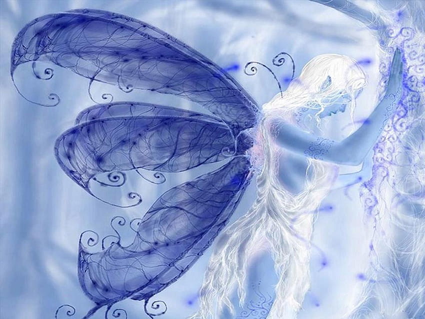 Blue Fairy, Blue Butterfly Fairy HD Wallpaper | Pxfuel