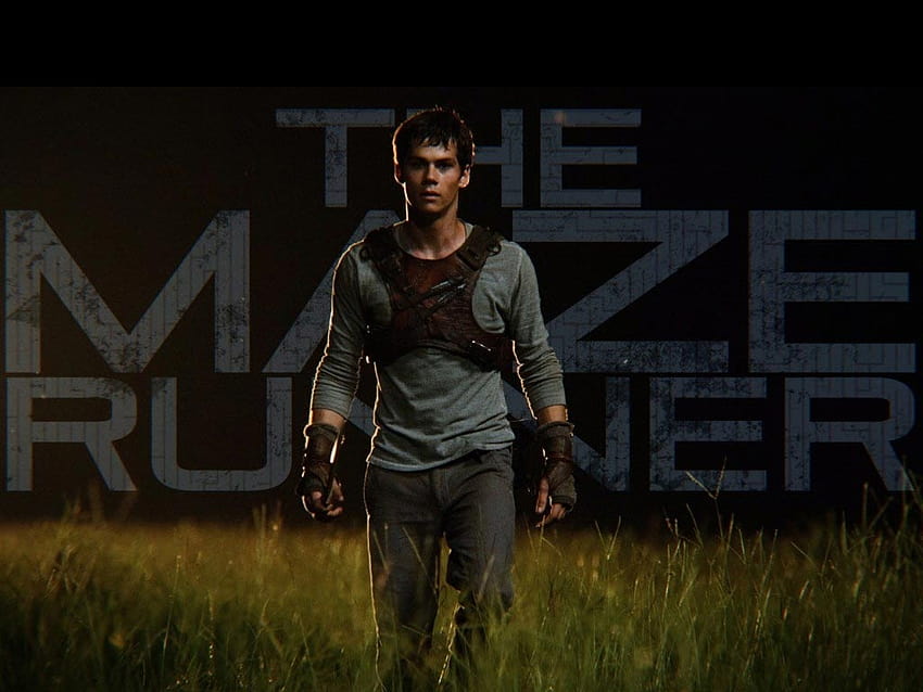 The Maze Runner HQ Movie, maze runner for pc HD wallpaper