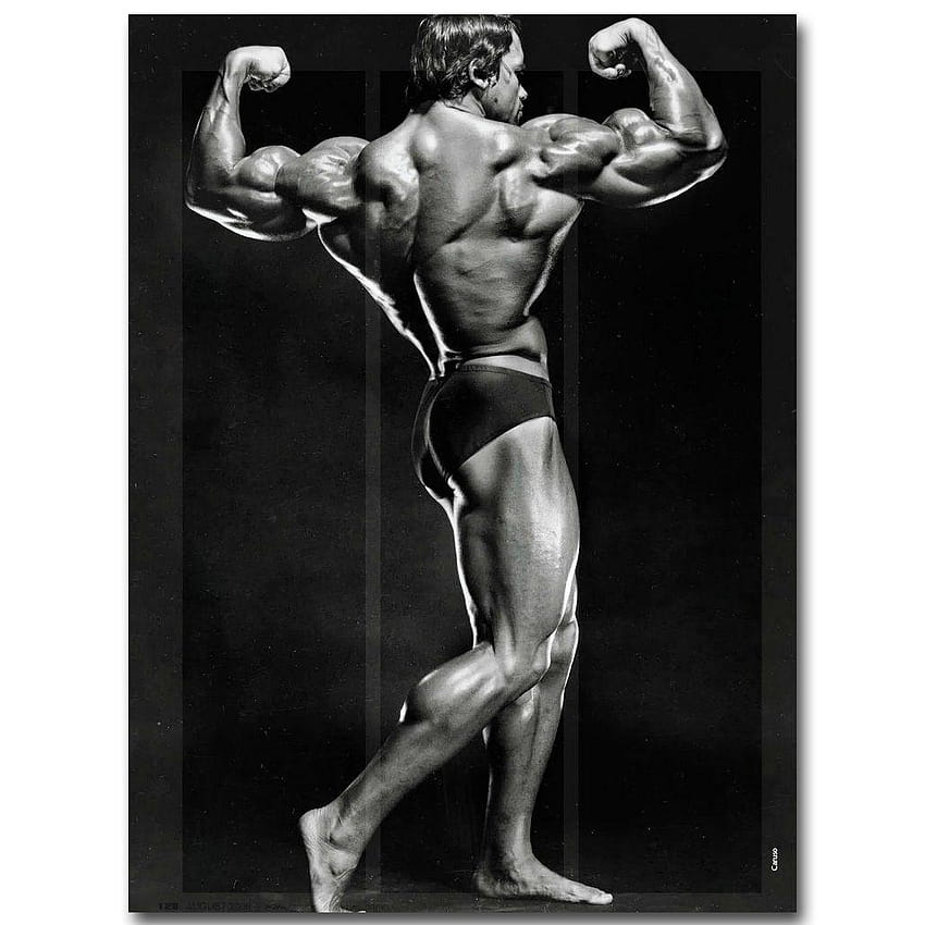 Póster de seda de arte motivacional de culturismo de Arnold Schwarzenegger, carteles de culturismo de arnold schwarzenegger y fondo de pantalla del teléfono