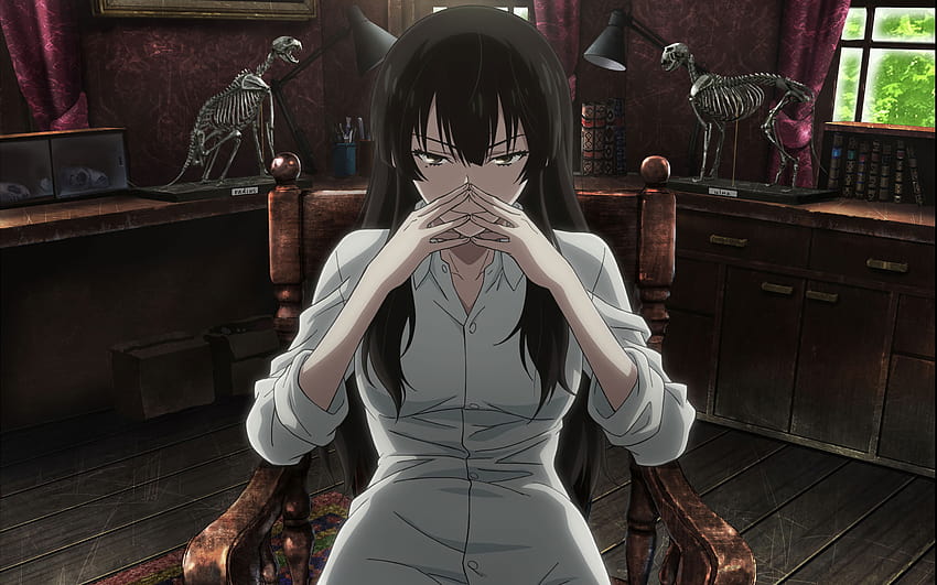 1 Anime Beautiful Bones: Sakurako's Investigation and Backgrounds, sakurako san no ashimoto ni wa shitai ga umatteiru HD wallpaper