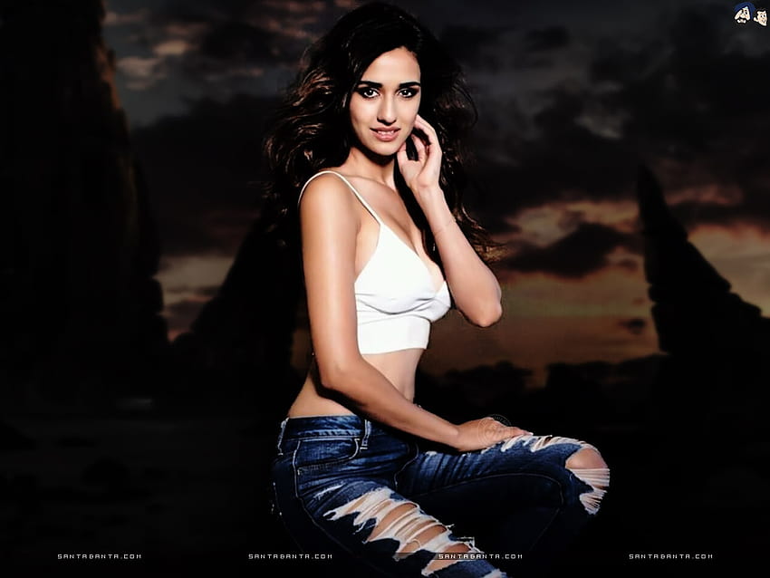 Belleza deslumbrante, Disha Patani con jeans rasgados y top corto blanco fondo de pantalla