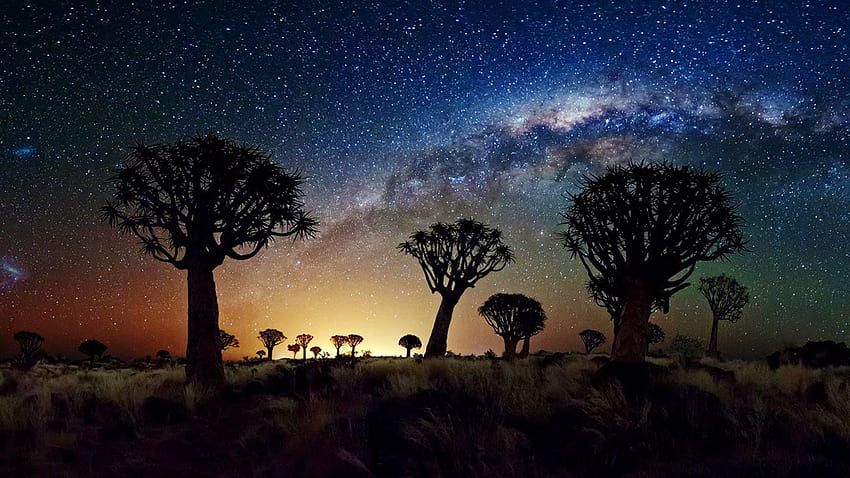La Vía Láctea se extiende sobre el Quiver Tree Forest, Namibia fondo de pantalla