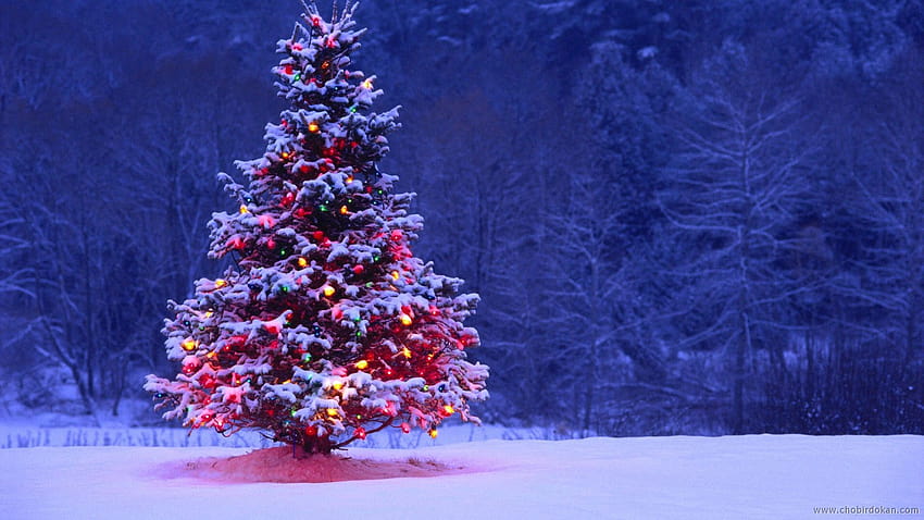 Navidad animada en 3D, árboles de Navidad fondo de pantalla