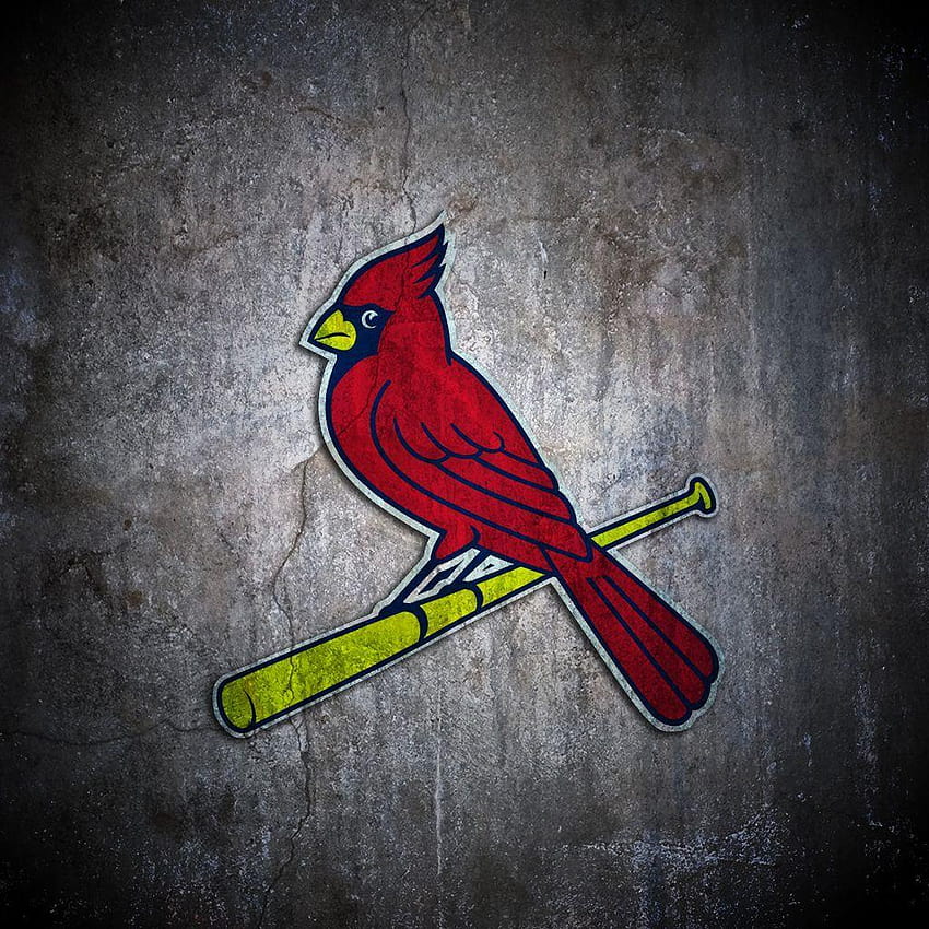 St Louis Cardinals HD phone wallpaper | Pxfuel