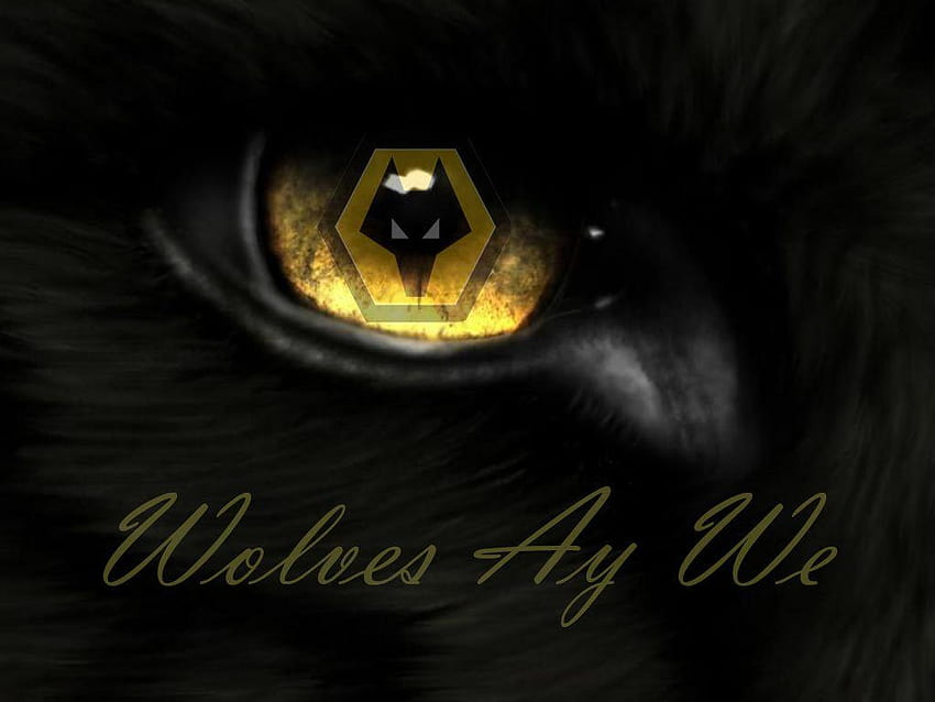 lobos ay we wolf fc wanderers soccer wwfc, wolverhampton wanderers fc fondo de pantalla