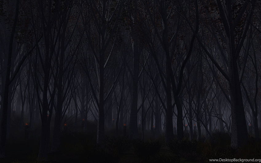 Haunted Forest Backgrounds, horror forest HD wallpaper
