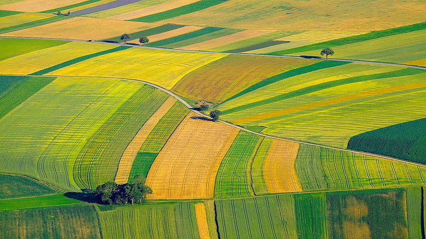 Agriculture posted by Michelle Mercado, agronomy HD wallpaper