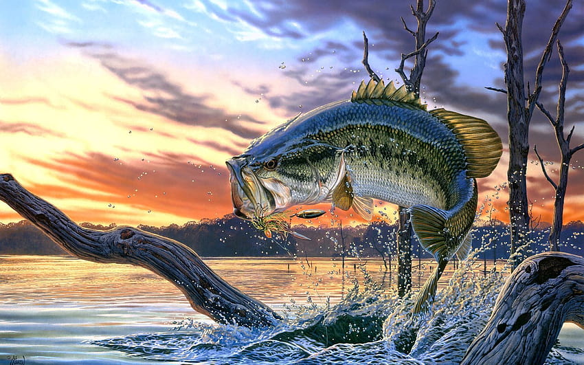 Fishing Backgrounds Group, fishing lures HD wallpaper