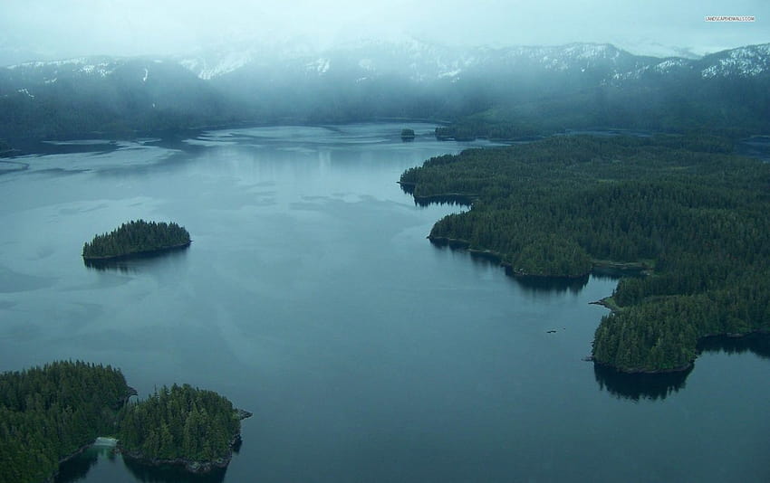 Montañas Bosque Lago Foggy, lago de chispas fondo de pantalla