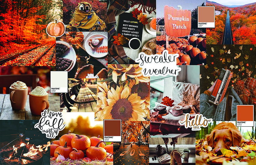 12 Laptop ideas, autumn aesthetic laptop HD wallpaper | Pxfuel