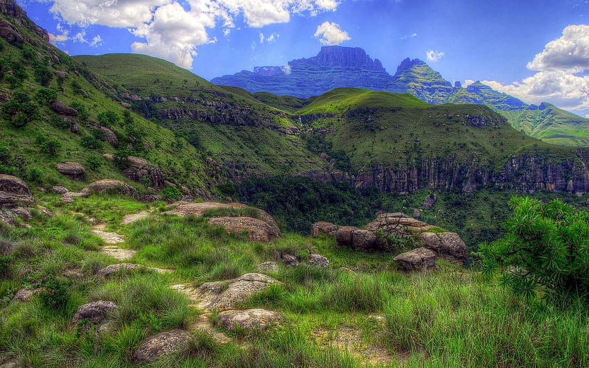 Panoramic view of the Amphitheatre range in the Drakensberg mountains,  Drakensberg uKhahlamba National Park, Kwazulu_Natal_South Africa -  SuperStock
