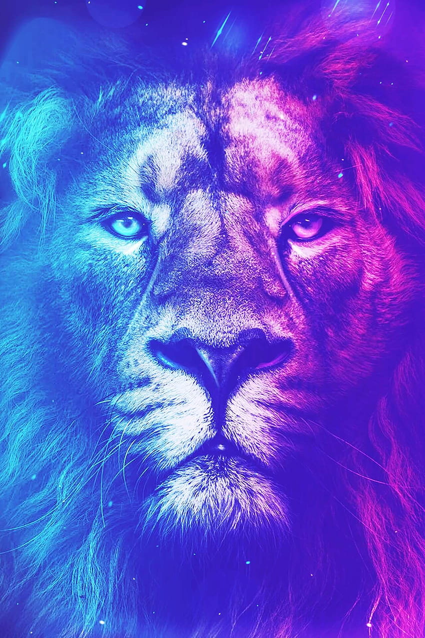 Beautify Your Phone, purple lion HD phone wallpaper