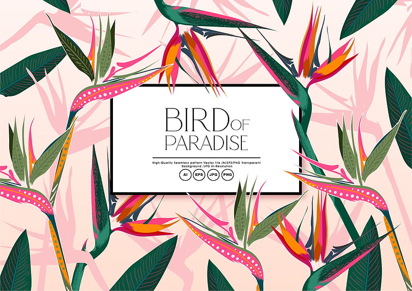 Bird Of Paradise HD wallpaper
