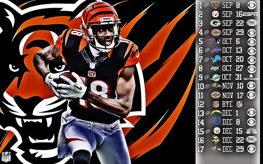 Cincinnati bengals full 2560×1920