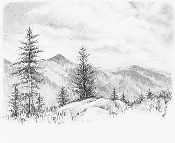 Nature Drawing by Anil Das  Fine Art America