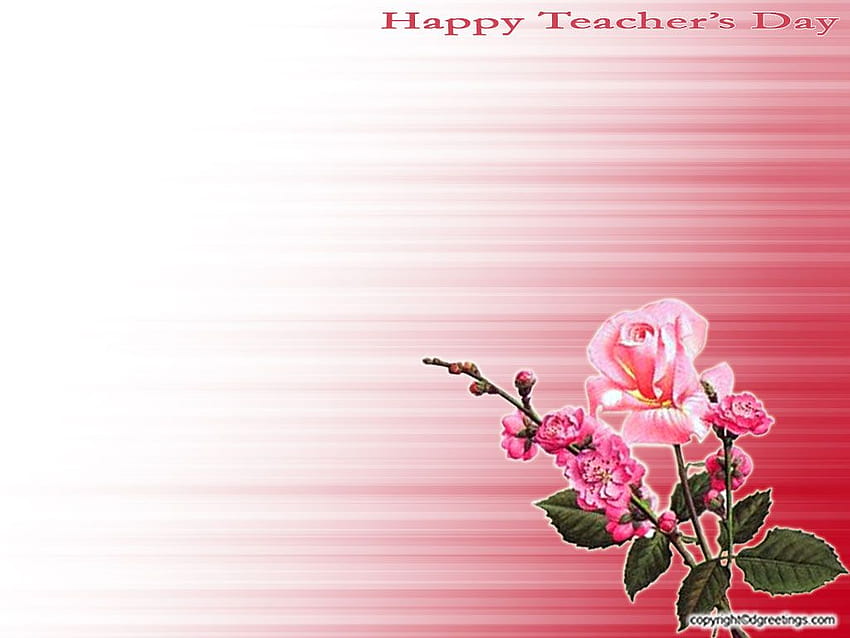 Teacher Wallpaper  NawPic