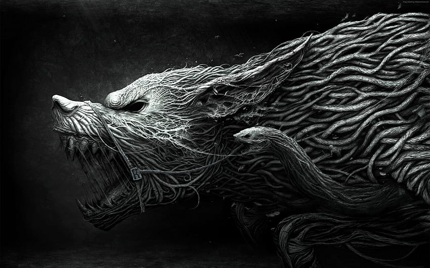 หมาป่า เฮลล์ฮาวด์ ศิลปะ ขาวดำ อันตราย เสียงอึกทึก ความมืด สัตว์ สัตว์นักล่าที่อันตราย วอลล์เปเปอร์ HD