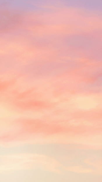 200 Peach Color Aesthetic Wallpapers  Wallpaperscom