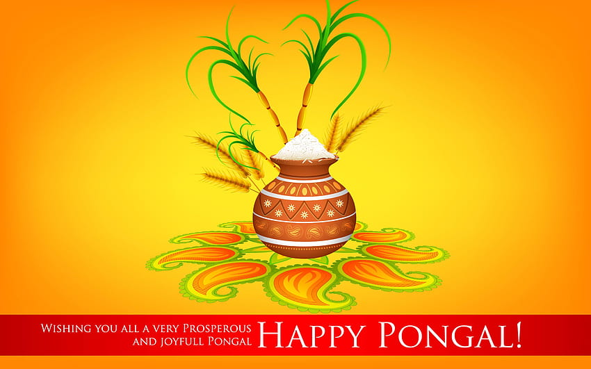 pongal festival HD wallpaper