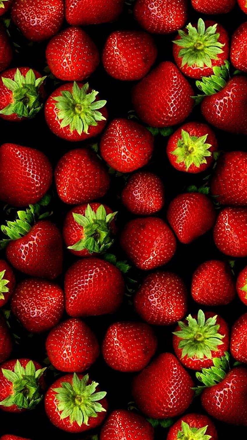 Patrón de Fresas Fruta Roja Android [1080x1920] para tu, móvil y tableta, android de frutas fondo de pantalla del teléfono
