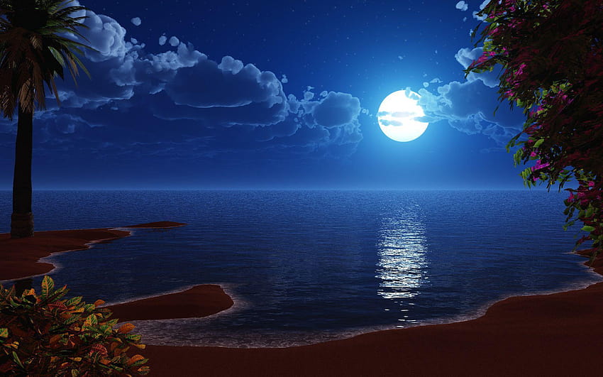 gorgeous, moon full light HD wallpaper