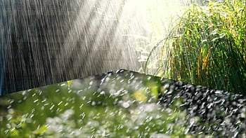 Rain Photos, Download The BEST Free Rain Stock Photos & HD Images