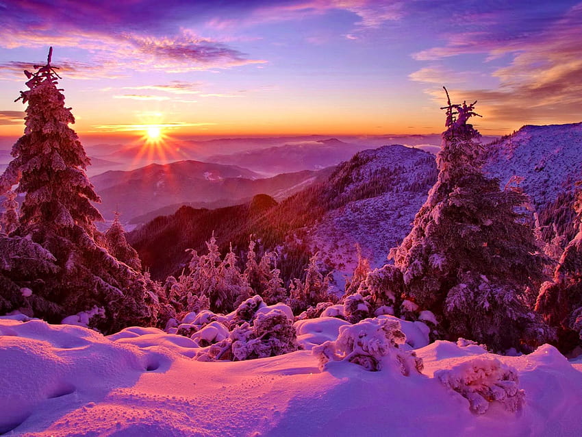 Winter, sky, sunset, mountains, forest, trees, spruce, snow 640x1136 iPhone 5/5S/5C/SE , background, cute winter sunset HD wallpaper