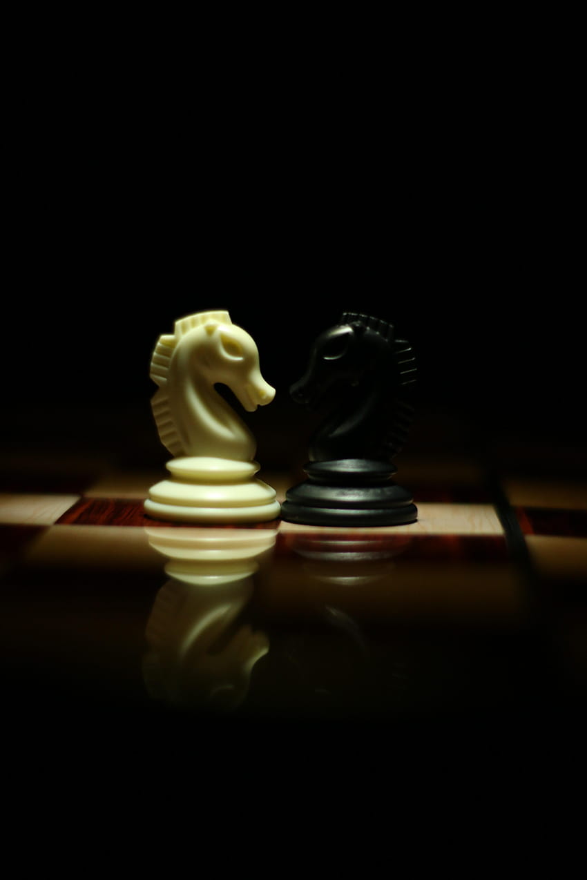 Zwei weiße und schwarze Schachritter, die sich auf Schach gegenüberstehen, Schach-Android HD-Handy-Hintergrundbild