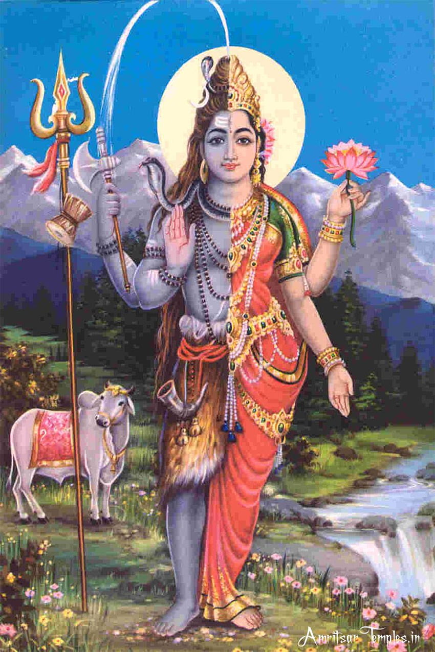 Ardhnarishwar of Lord Shiva and Parvati HD phone wallpaper
