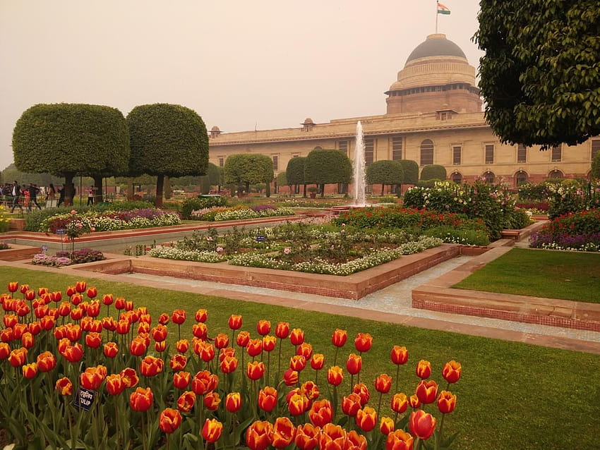 Besuch des Mogulgartens, Rashtrapati Bhavan, Neu-Delhi, Mogulgärten HD-Hintergrundbild