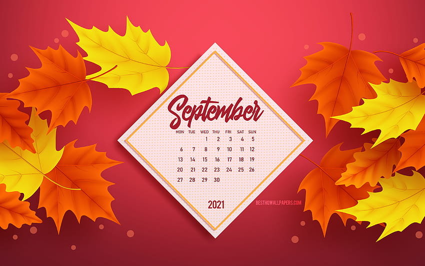 September 2021 Calendar  autumn leaves white background autumn frame  2021 September Calendar HD wallpaper  Peakpx