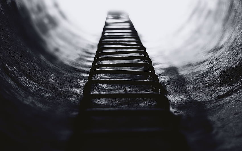 stairs, Steps, Bw, Macro, Mood, Black, White, Light / and Mobile Backgrounds HD wallpaper
