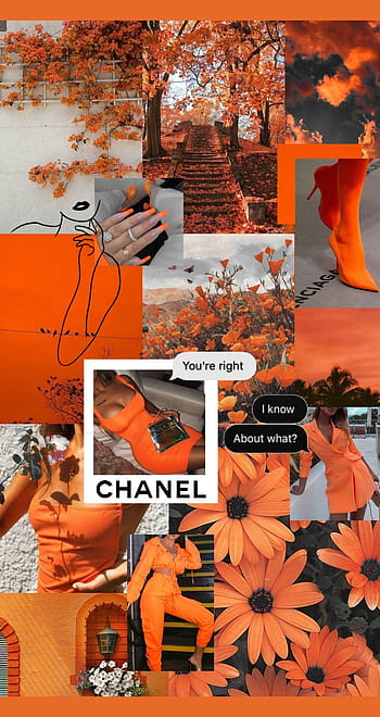 Louis Vuitton Wallpaper iPhone  Orange wallpaper, Orange aesthetic,  Picture collage wall