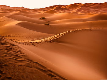 Sand hammams: Getting a sand bath in the Sahara Desert