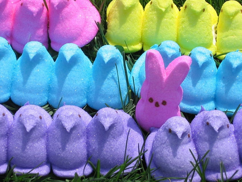 Easter Peeps, easter candy HD wallpaper