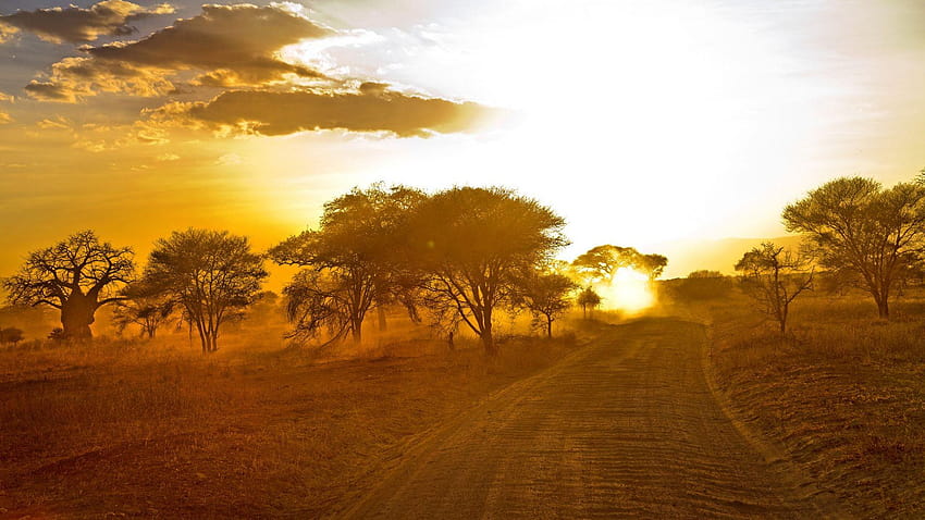 2 Sunrise , Sunrays, Backgrounds, africa HD wallpaper