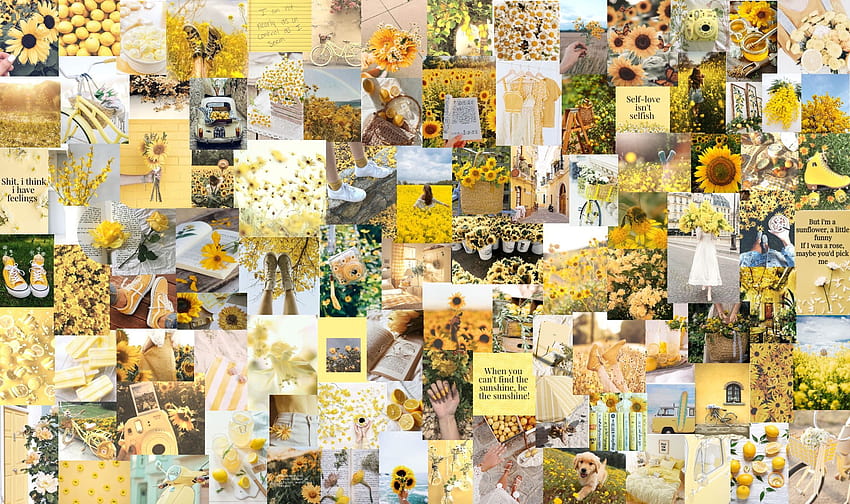 Collage estetico giallo <3, collage estetico girasole Sfondo HD