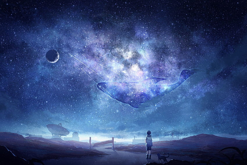 2256x1504 Anime Sky, Milky Way, Stars, Anime Boy, Dog, Moon, Whale, Galaxy HD wallpaper