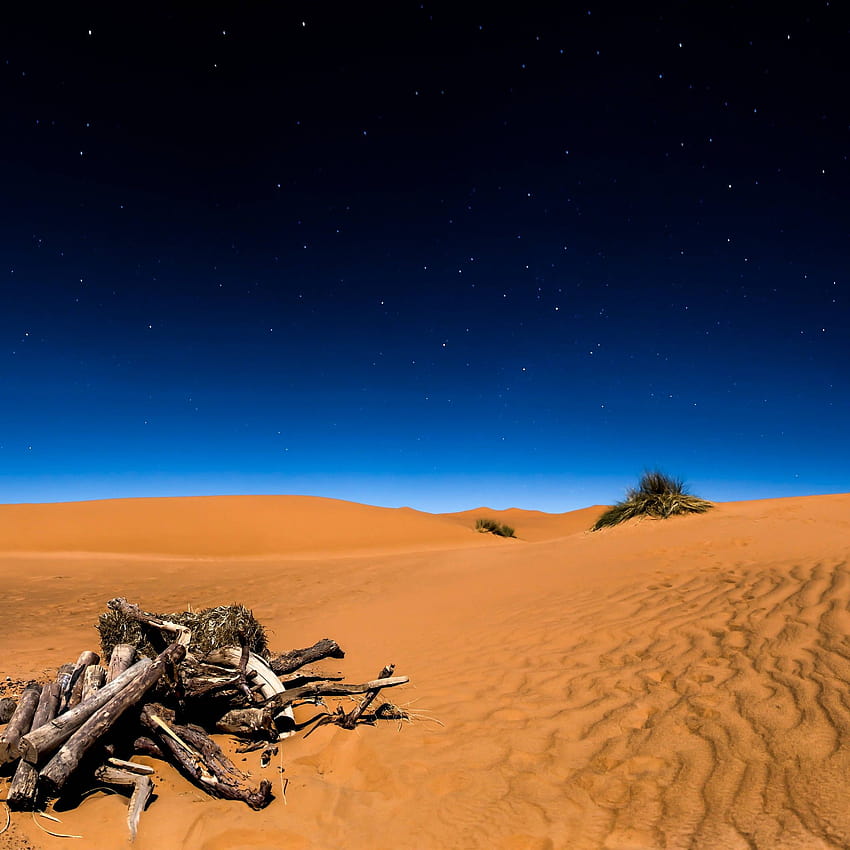 Sahra Çölü, Mavi gökyüzü, , Doğa HD telefon duvar kağıdı