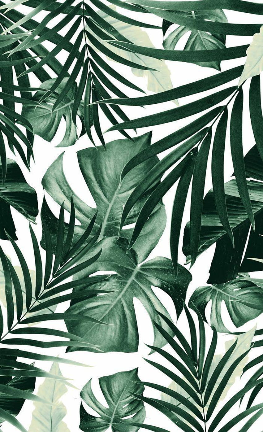 Przypnij + rosną, tropikalny liść Tapeta na telefon HD