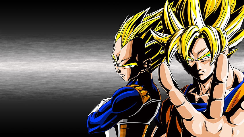 Goku и Vegeta Super Saiyan God Fusion, goku всички fusion HD тапет