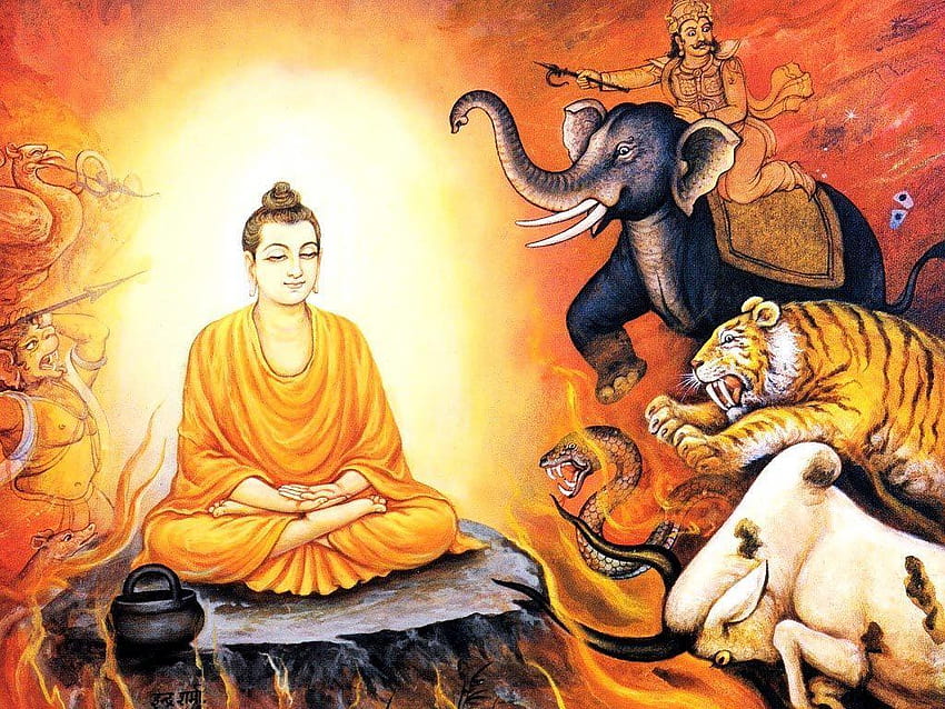 lord buddha, gautama buddha HD wallpaper