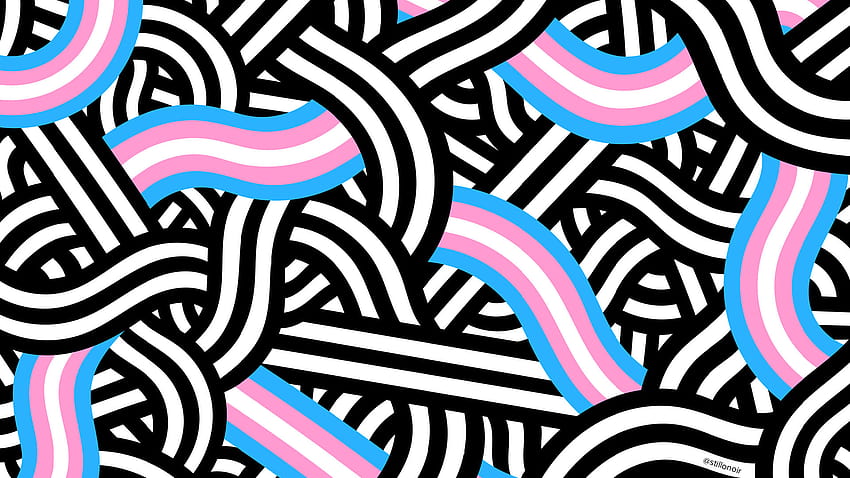 Pride Flag Backgrounds, transgender computer HD wallpaper