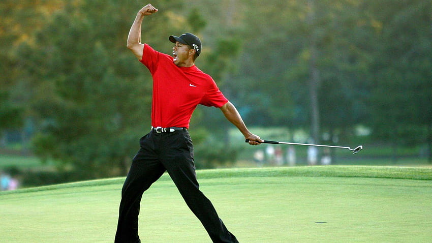 Download The Victory Of Tiger Woods Iphone Wallpaper  Wallpaperscom