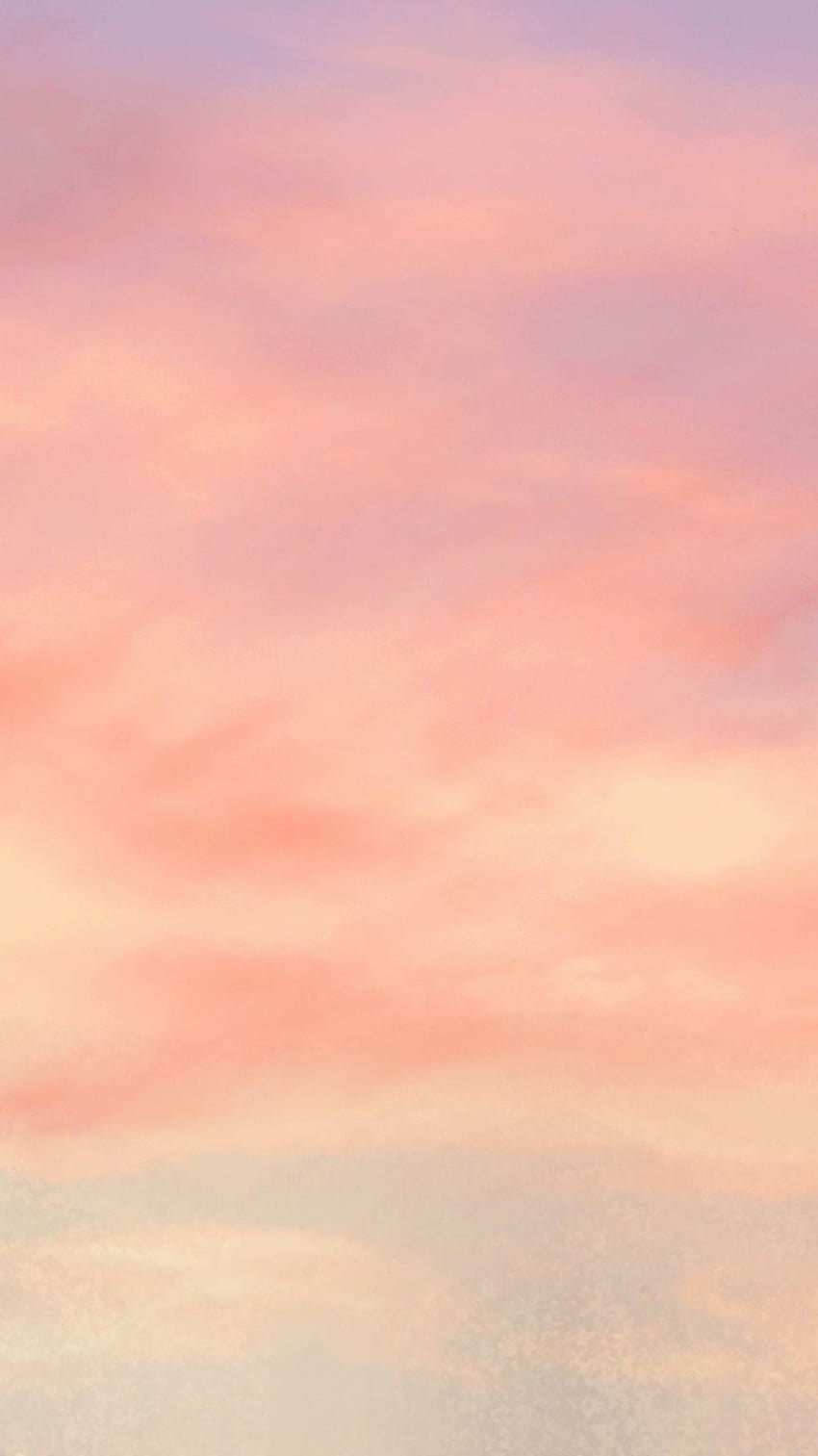 」おしゃれまとめの人気アイデア｜Pinterest｜Payton Moon, peach colour aesthetic HD phone wallpaper