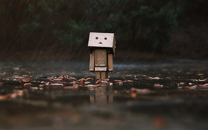 Box Man posted by Michelle Cunningham, boxman HD wallpaper