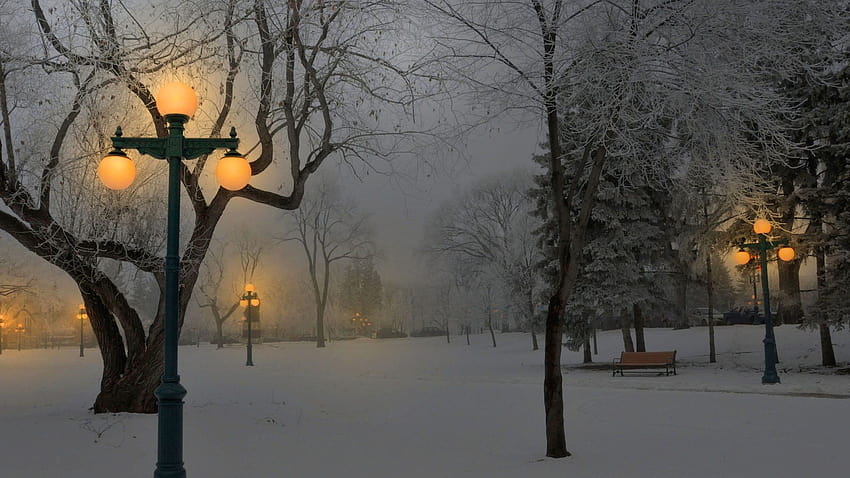 Foggy winter morning [1920x1080] :, morning winter HD wallpaper