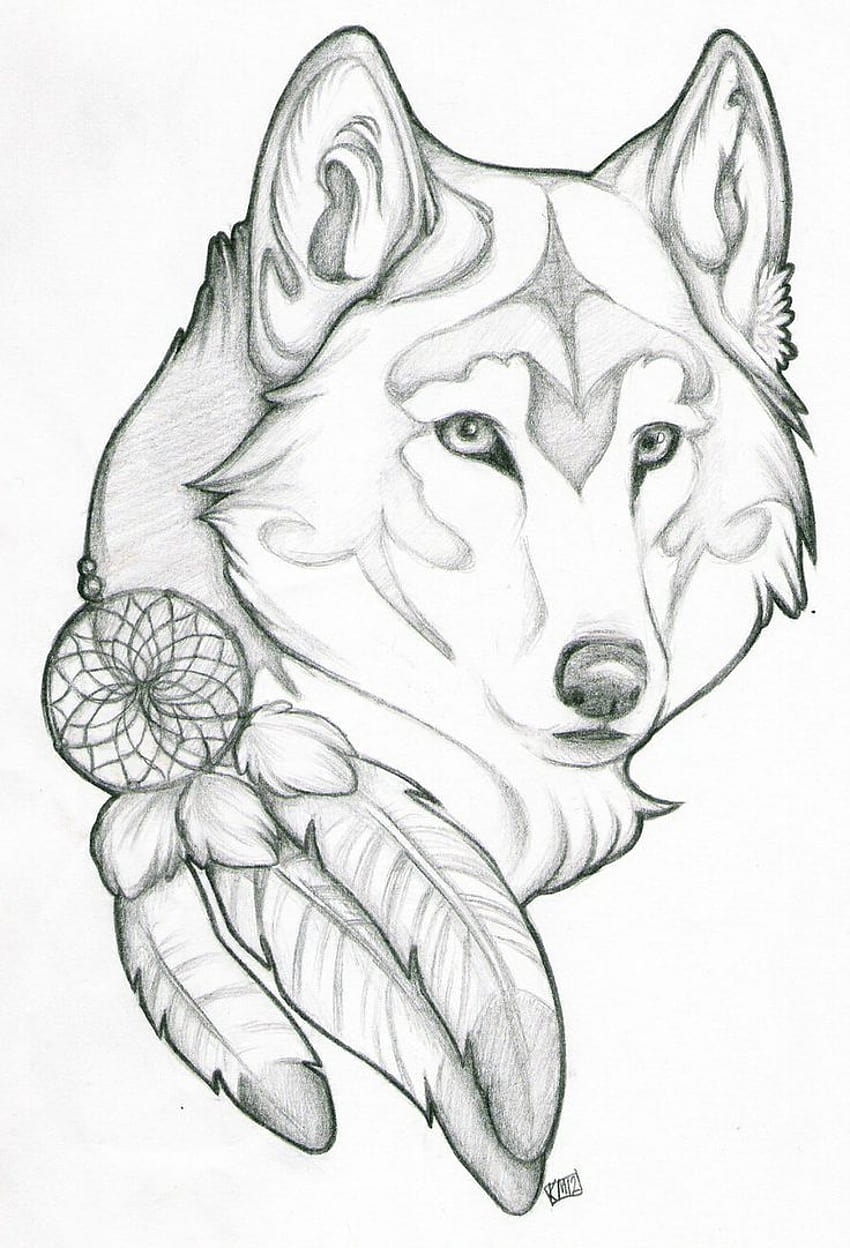 cool wolf drawings in pencil